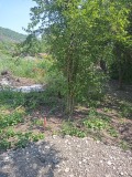 Продава  Парцел град Шумен , Еверест , 591 кв.м | 52937972 - изображение [3]