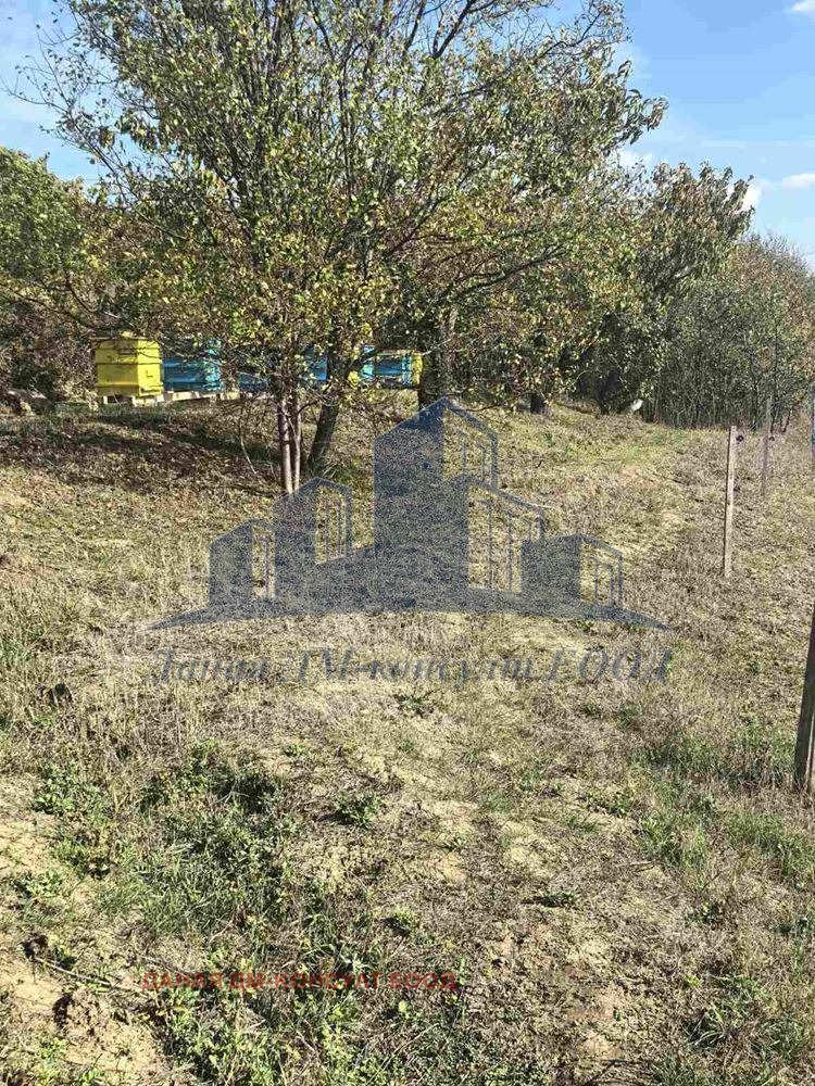 ������� ���� | Imot.bg � ����������� 10