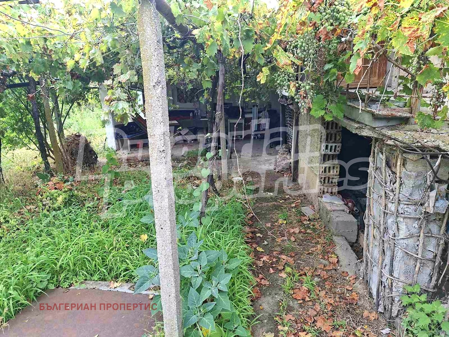 ������� ���� | Imot.bg � ����������� 5