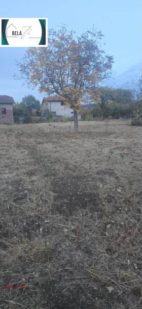 ������� ������ | Imot.bg � ����� ������ 5