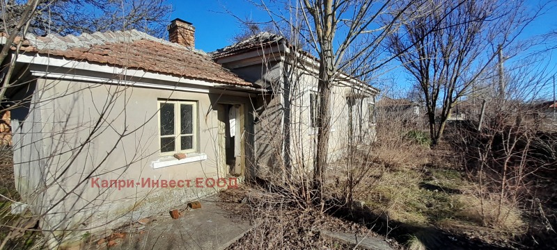 Til salg  Hus region Dobrich , Belgun , 135 kvm | 59736899 - billede [3]