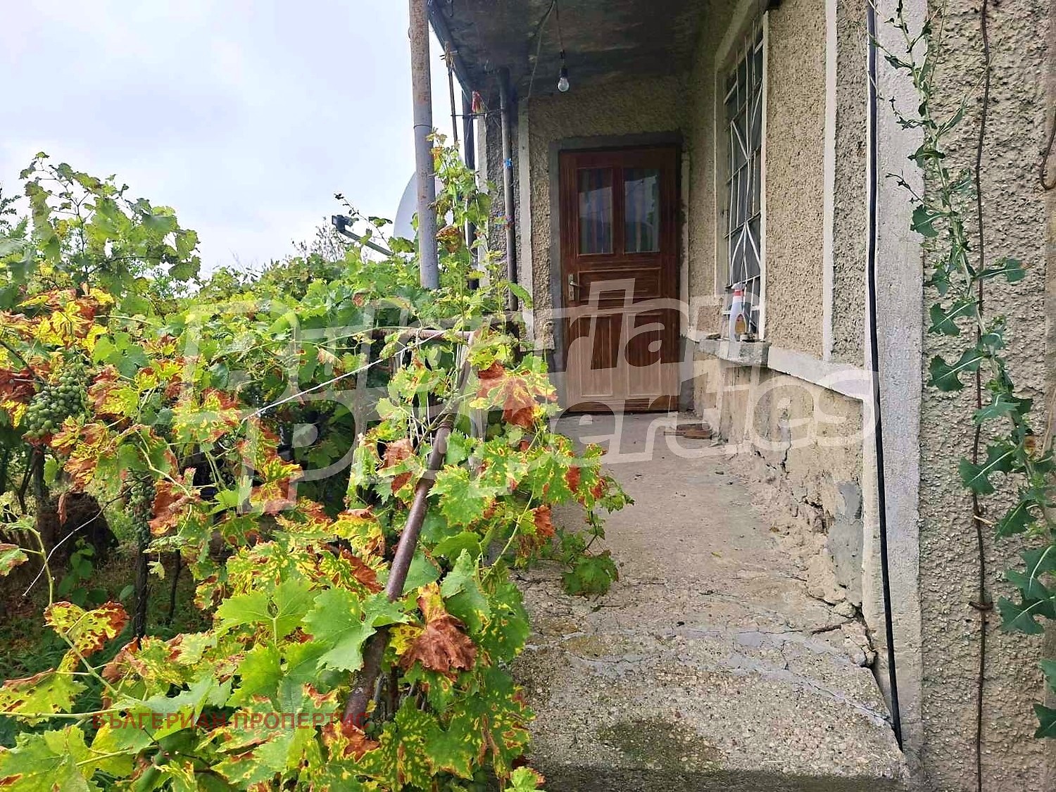 Продава КЪЩА, с. Памукчии, област Шумен, снимка 6 - Къщи - 55517062