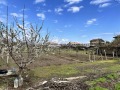 Продава ПАРЦЕЛ, област Пловдив, с. Цалапица • 47000 € • 63328256 — Holmes.bg