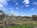 Продава ПАРЦЕЛ, област Пловдив, с. Цалапица • 47000 € • 63328256 — Holmes.bg