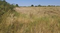 Продава ПАРЦЕЛ, област Варна, с. Близнаци • 300000 € • 65541456 — Holmes.bg