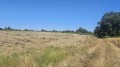 Продава ПАРЦЕЛ, област Варна, с. Близнаци • 300000 € • 65541456 — Holmes.bg