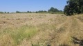 Продава ПАРЦЕЛ, област Варна, с. Близнаци • 300000 € • 65541456 — Holmes.bg