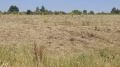 Продава ПАРЦЕЛ, област Варна, с. Близнаци • 300000 € • 65541456 — Holmes.bg