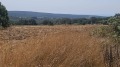 Продава ПАРЦЕЛ, област Варна, с. Близнаци • 300000 € • 65541456 — Holmes.bg
