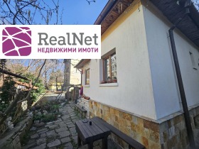 ����� ������� ����������,���� �����, �������