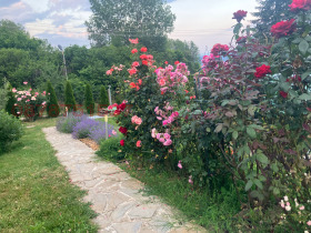 ������� ���� | Imot.bg � ����� ������ 5