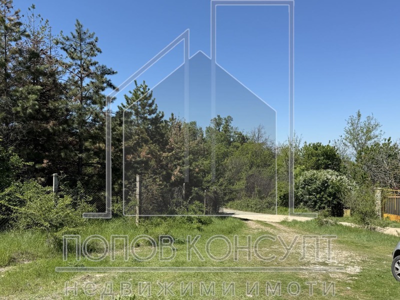 Na prodej  Spiknutí oblast Plovdiv , Belaštica , 600 m2 | 84342114 - obraz [5]