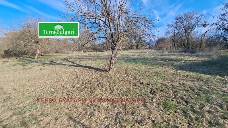Продава ПАРЦЕЛ в област Перник, с. Витановци - 1184 кв.м / При запитване, ТЕРРА БУЛГАРИ-ЗЕМЯ НА БЪЛГАРИ