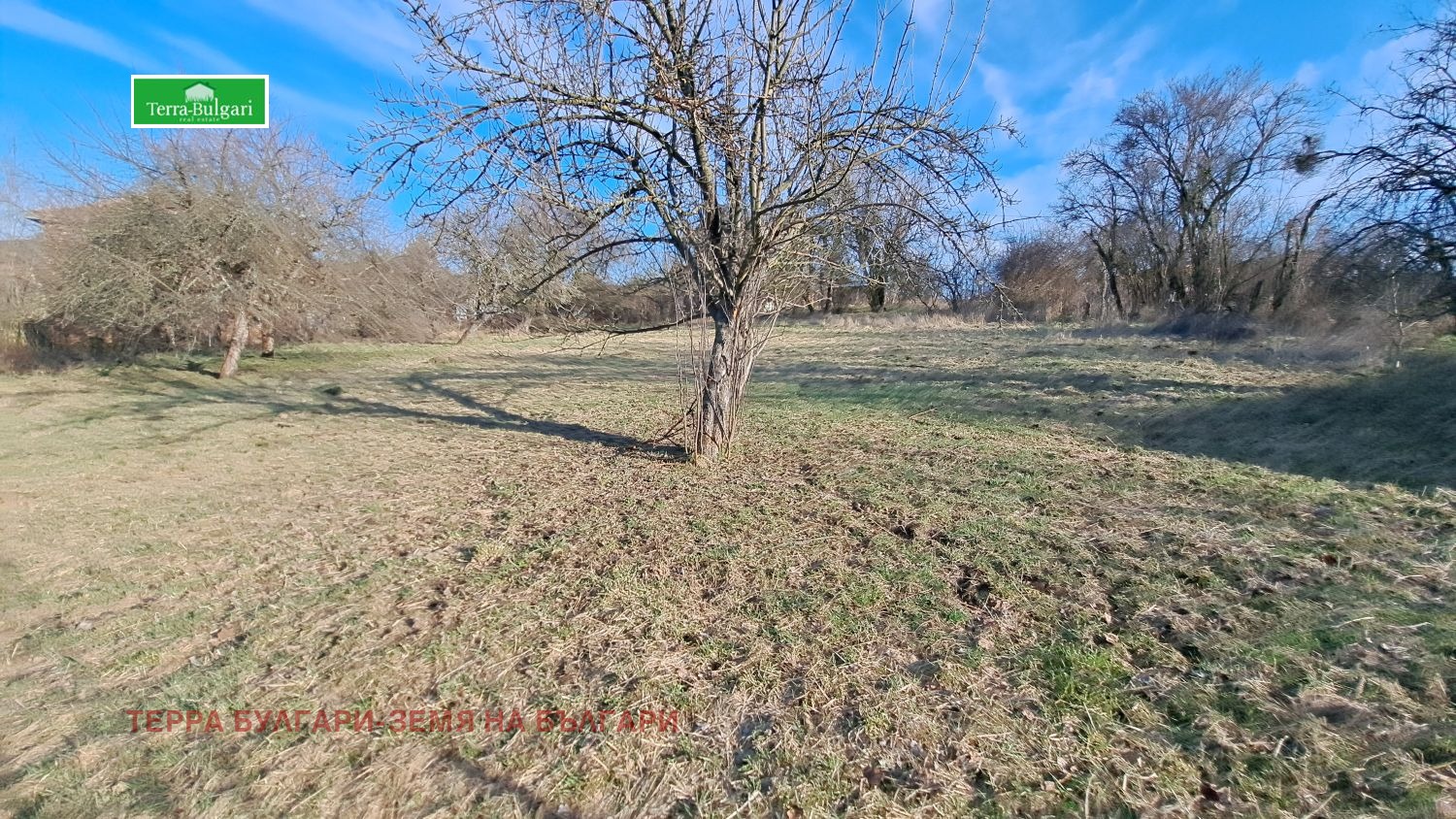 ������� ������ | Imot.bg � ����������� 1