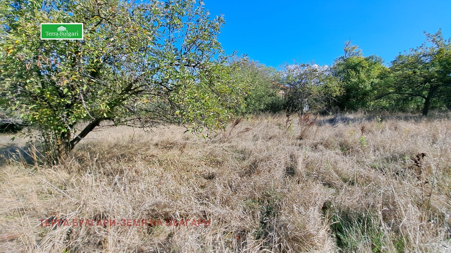 ������� ������ | Imot.bg � ����������� 5