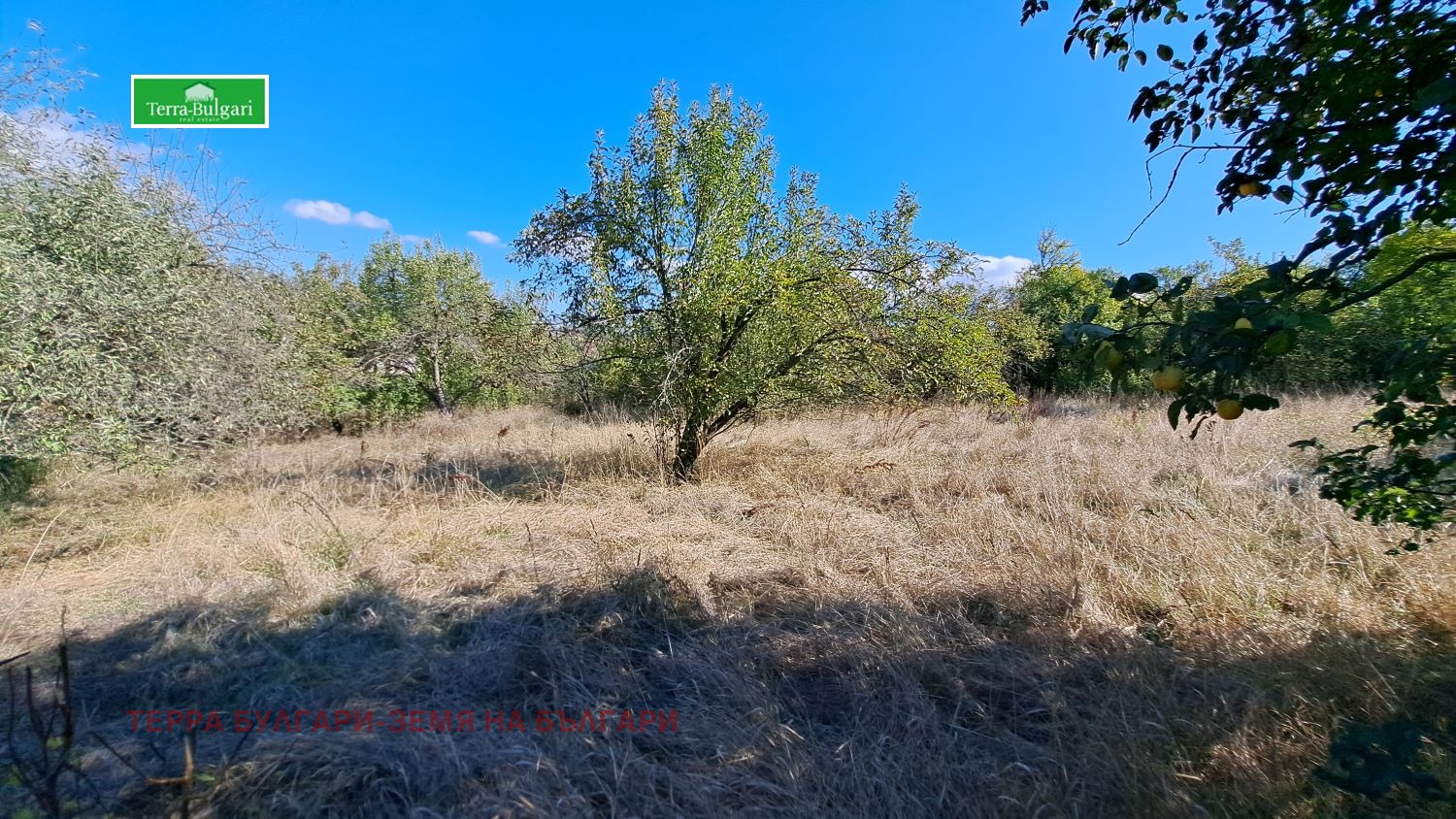 ������� ������ | Imot.bg � ����������� 4