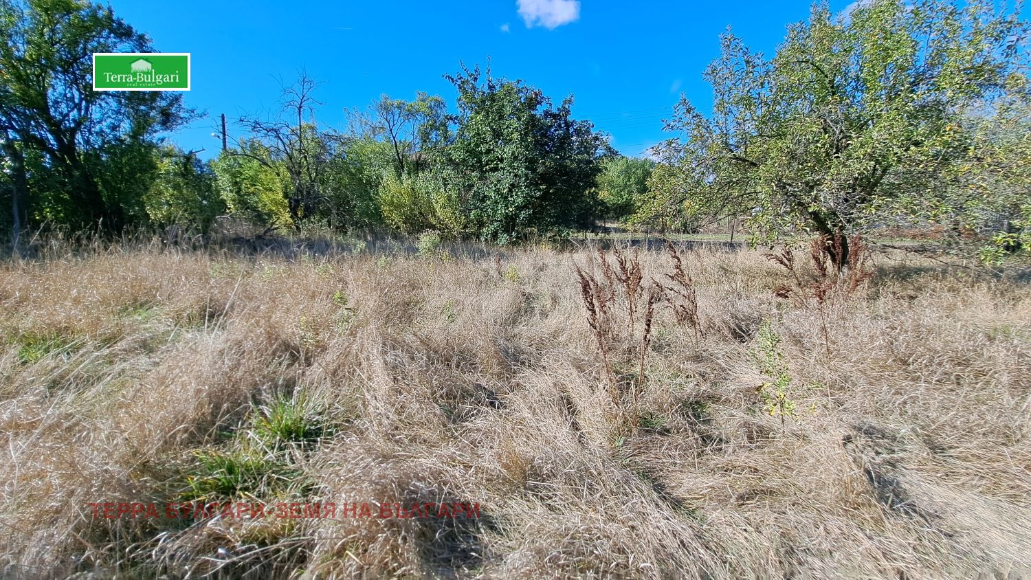 ������� ������ | Imot.bg � ����������� 2