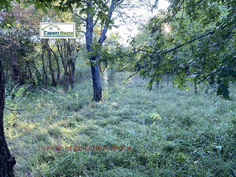 For Sale  Plot region Gabrovo , Lesicharka , 850 sq.m | 81500956