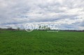 Продава ПАРЦЕЛ, с. Труд, област Пловдив, снимка 3