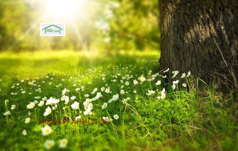 ������� ������ | Imot.bg � ����������� 1