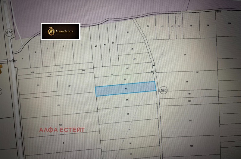 Продава ПАРЦЕЛ в град Враца, Дъбника - 3800 кв.м / 118 000 € » 230 787.94 лв., АЛФА ЕСТЕЙТ