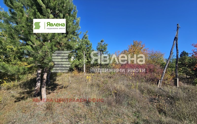 ������� ������ | Imot.bg � ����������� 6