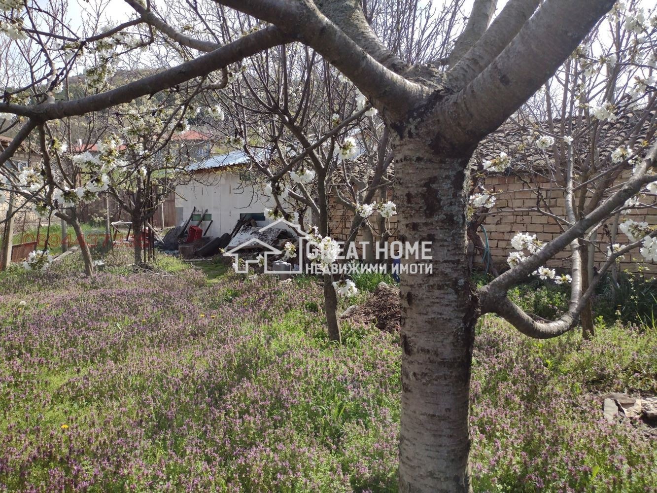 ������� ���� | Imot.bg � ����������� 11