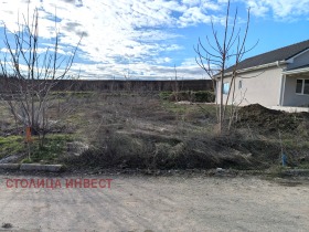 ����� ������� ������,�. ���������, ������ ����