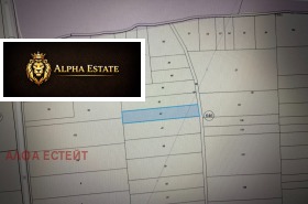 ����� ������� ������,���� �����, �������