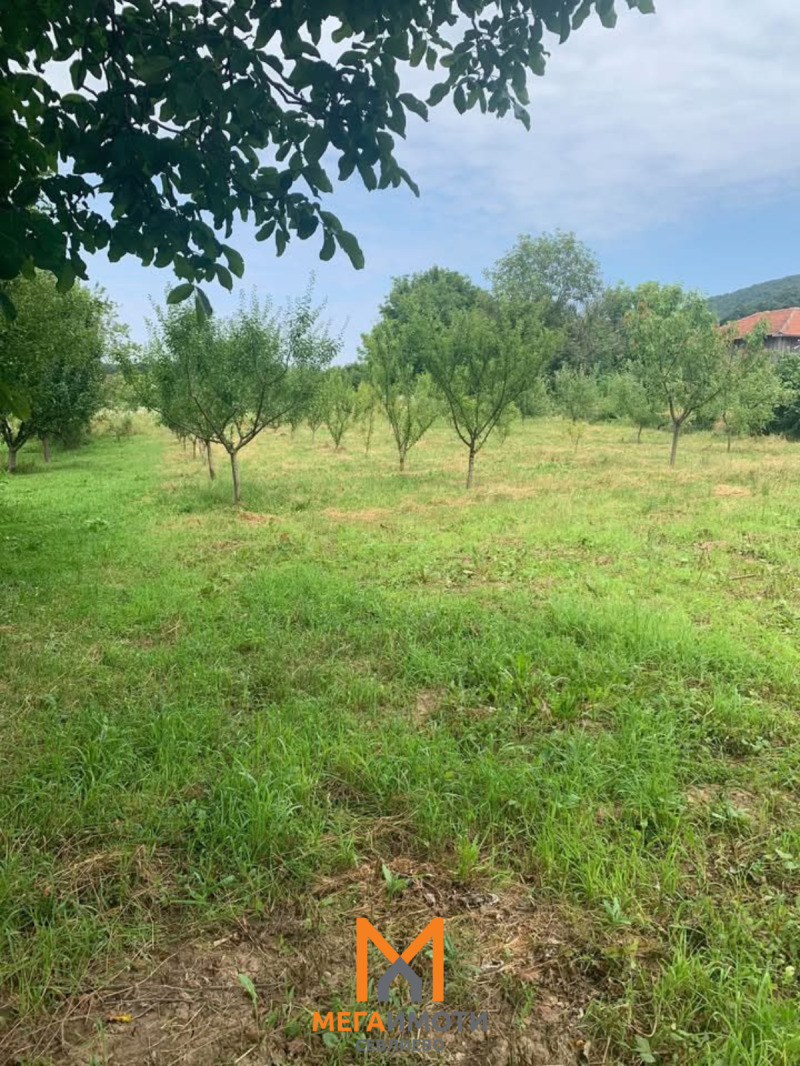 Продава ПАРЦЕЛ, област Габрово, с. Петко Славейков • 22000 лв. • 84257617 — Holmes.bg