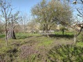 Продава КЪЩА, с. Стража, област Търговище, снимка 10