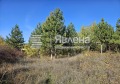 Продава  Парцел град София , гр. Нови Искър , 619 кв.м | 92170178 - изображение [7]