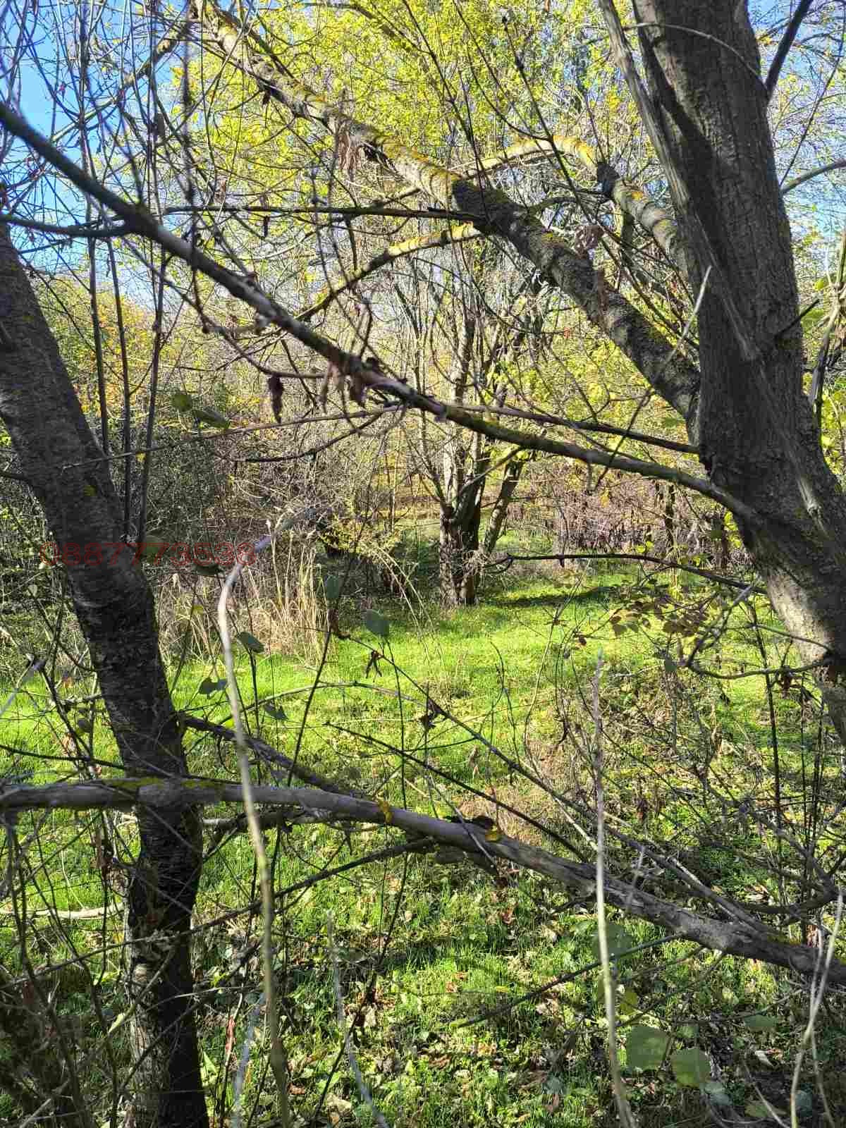 Продава КЪЩА, с. Писанец, област Русе, снимка 2 - Къщи - 53721299