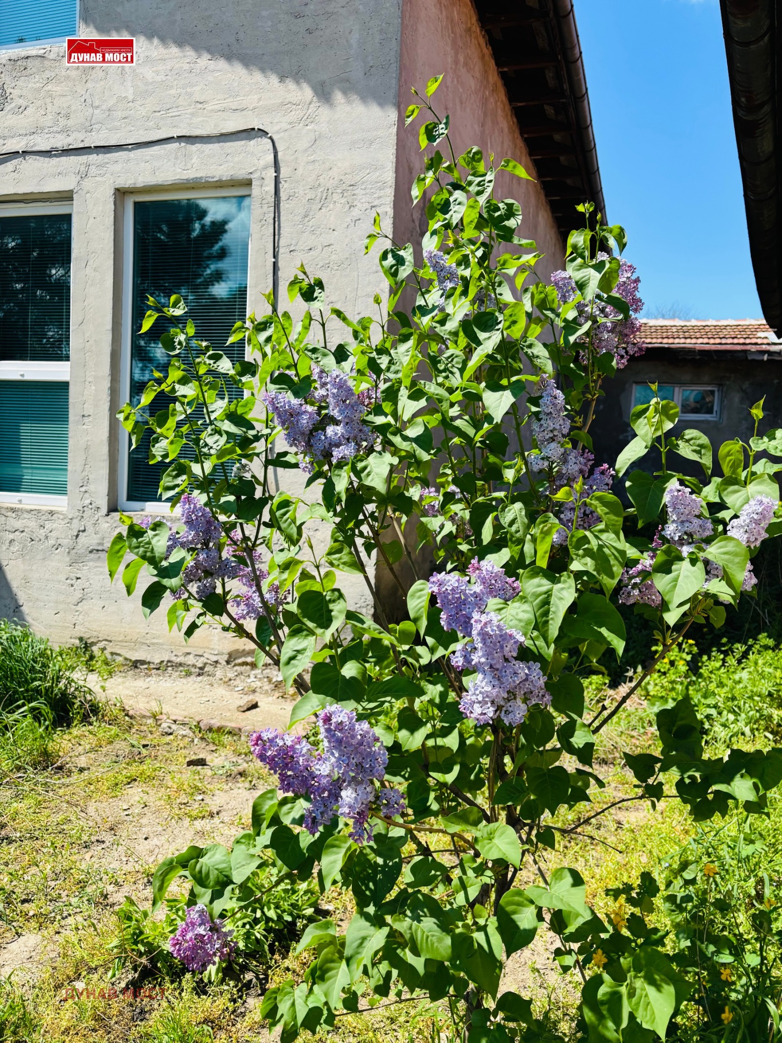 Продава КЪЩА, гр. Русе, Център, снимка 4 - Къщи - 54288296