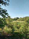 Продава ПАРЦЕЛ, с. Бяло поле, област Стара Загора, снимка 2