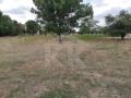 Продава БИЗНЕС ИМОТ, с. Водица, област Варна, снимка 2