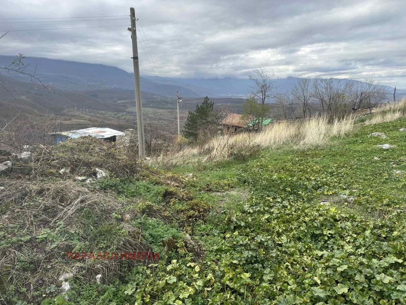 Продава ПАРЦЕЛ, с. Жребичко, област Пазарджик, снимка 4 - Парцели - 52875662