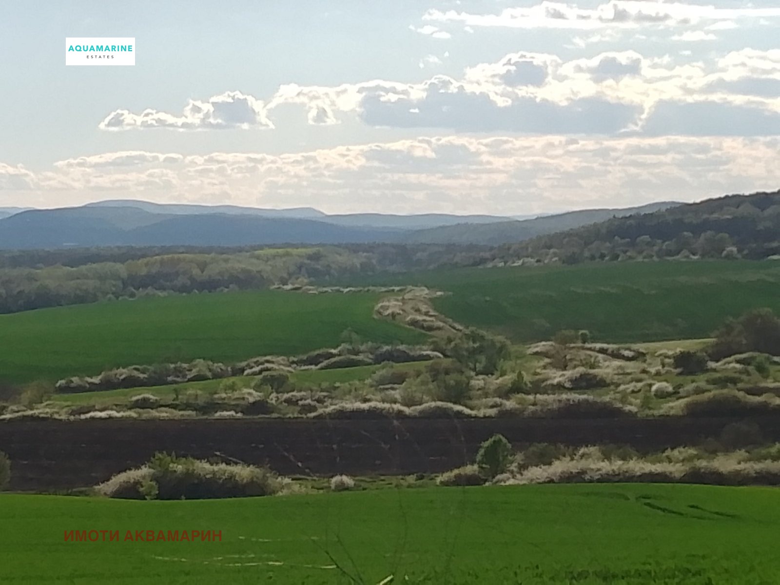 Продава КЪЩА, с. Дъбравино, област Варна, снимка 2 - Къщи - 48600444