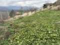 Продава ПАРЦЕЛ, с. Жребичко, област Пазарджик, снимка 1