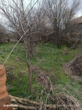 Продава КЪЩА, област Видин, гр. Дунавци • 20000 € / 39116.60 лв. • 47952472 17