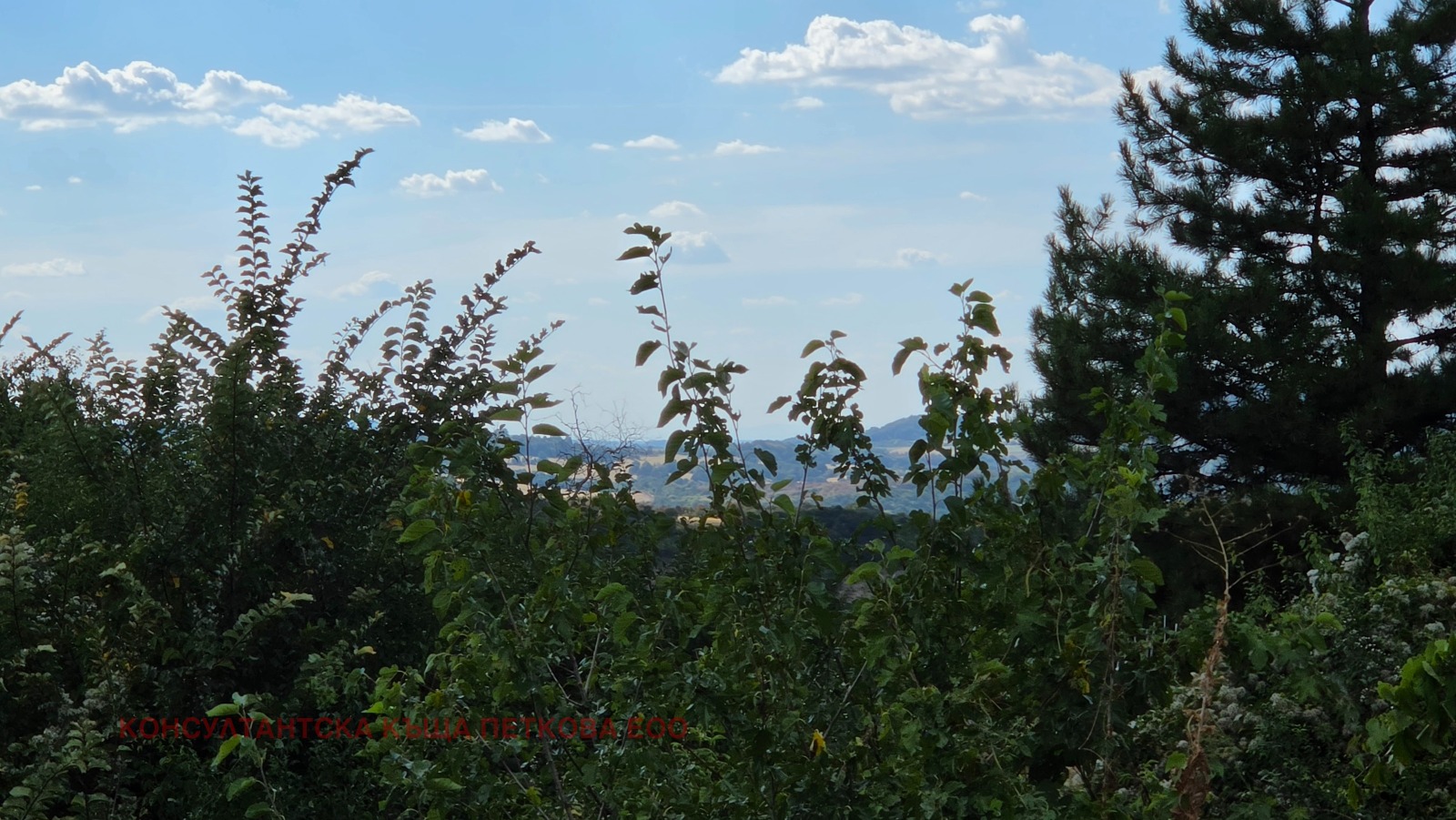 ������� ���� | Imot.bg � ����������� 12
