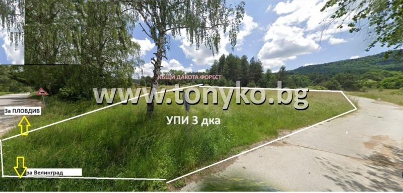 Продаја  Плот регион Пазарџик , м-т Цигов чарк , 2616 м2 | 92127330 - слика [4]