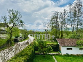 Hus Gumoshtnik, region Lovech 1