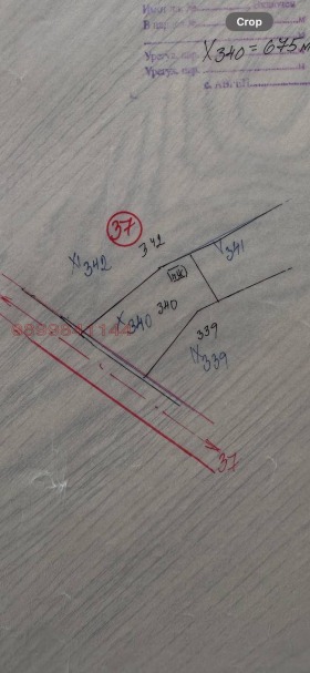 ����� ������� ������,�. ���������, ������ �����