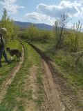 Продава ПАРЦЕЛ, град София, Суходол • 118000 € • 67628543 — Holmes.bg