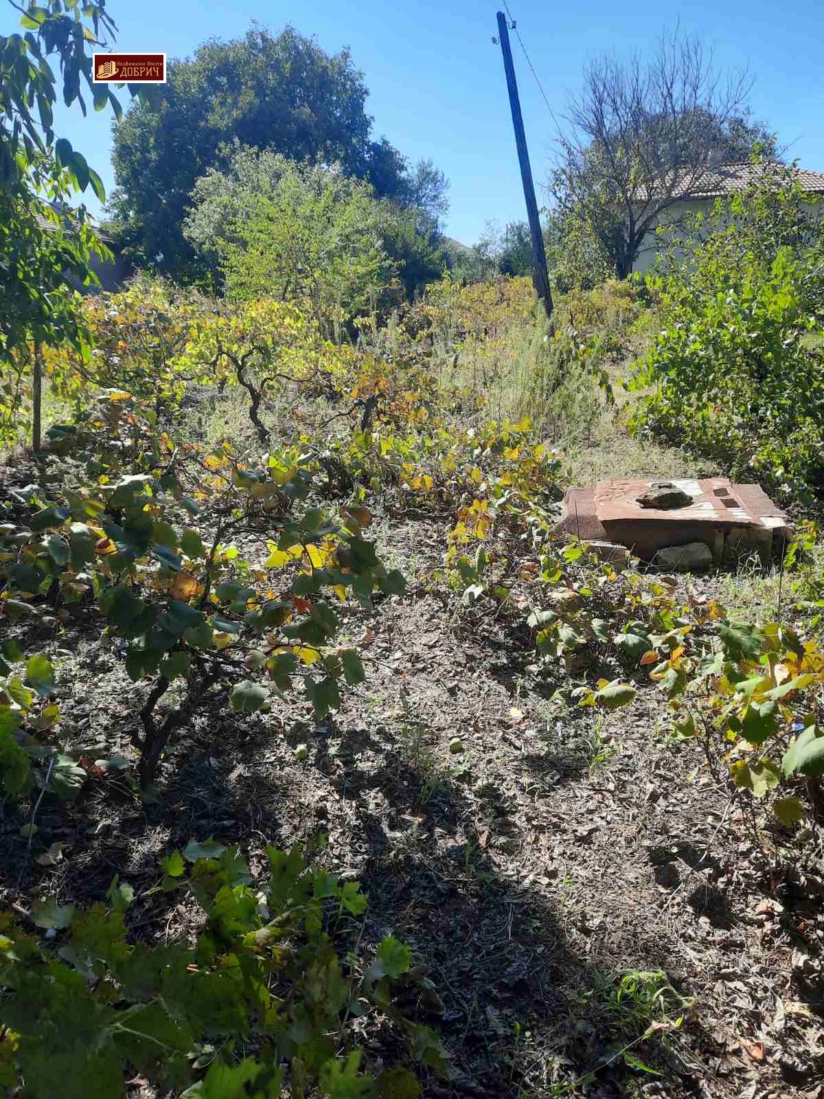 ������� ���� | Imot.bg � ����������� 2