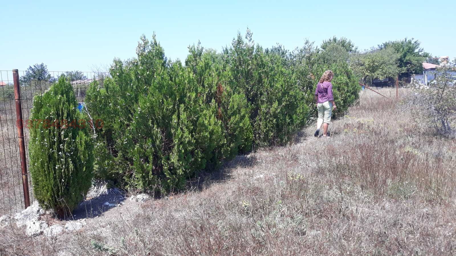 ������� ������ | Imot.bg � ����������� 5