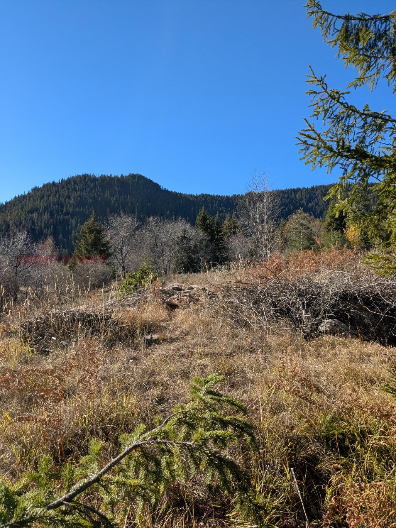 ������� ������ | Imot.bg � ����������� 5