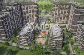 ����� ������� 2-�����,���� �����, ����������