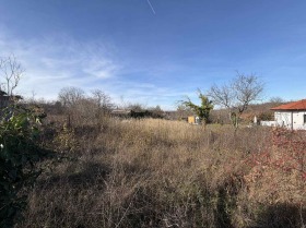 ����� ������� ������,���� �����, �-� �����������>